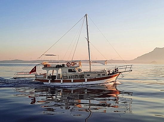 Junior Oğulcan Gulet - Söğüt